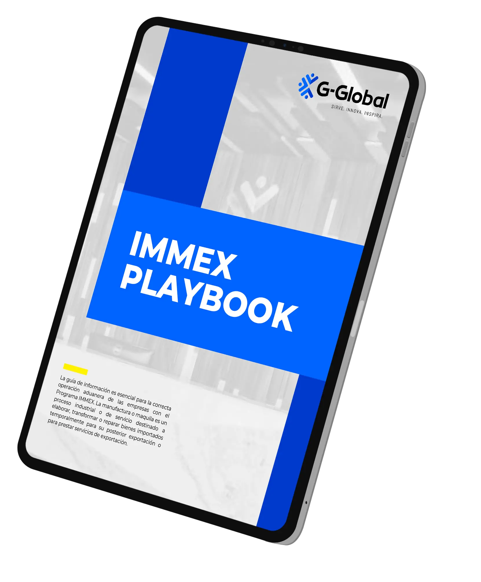 Programa IMMEX guía playbook